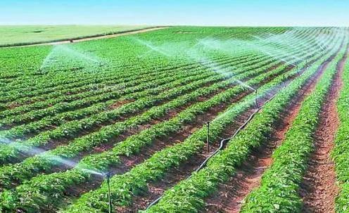 好日屌农田高 效节水灌溉